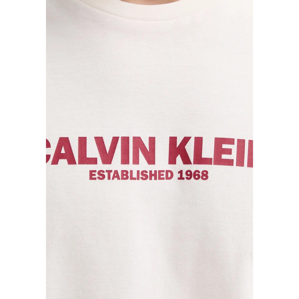 Calvin Klein T-Shirt Uomo