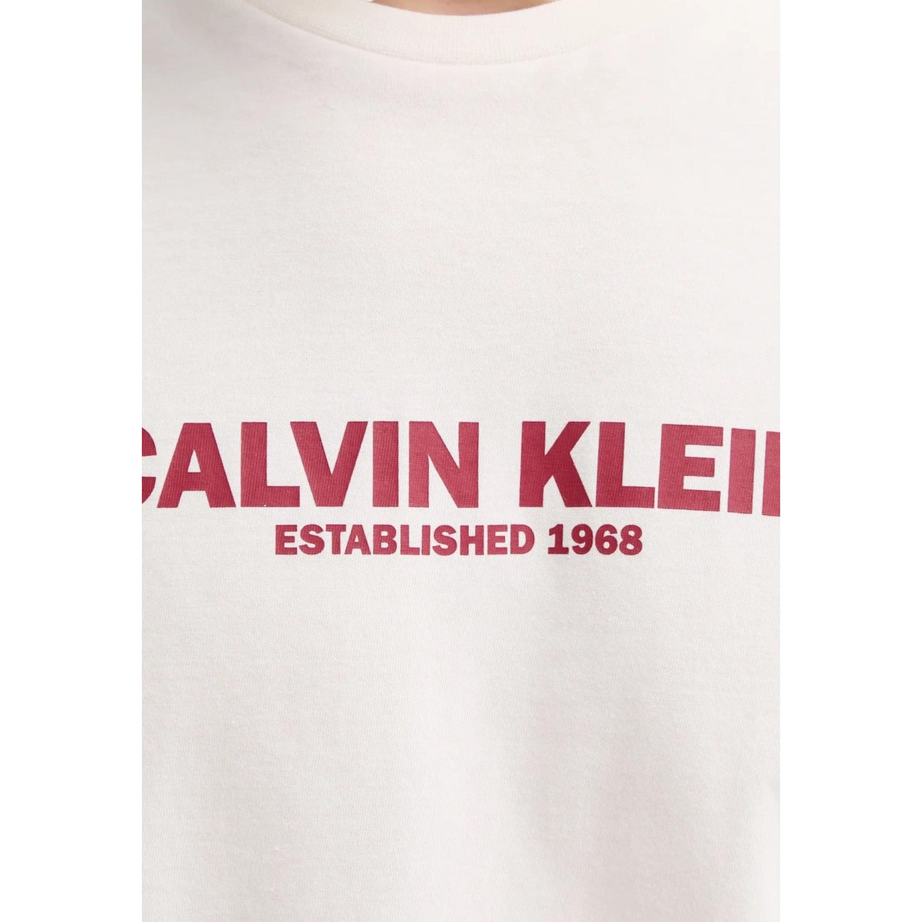 Calvin Klein T-Shirt Uomo