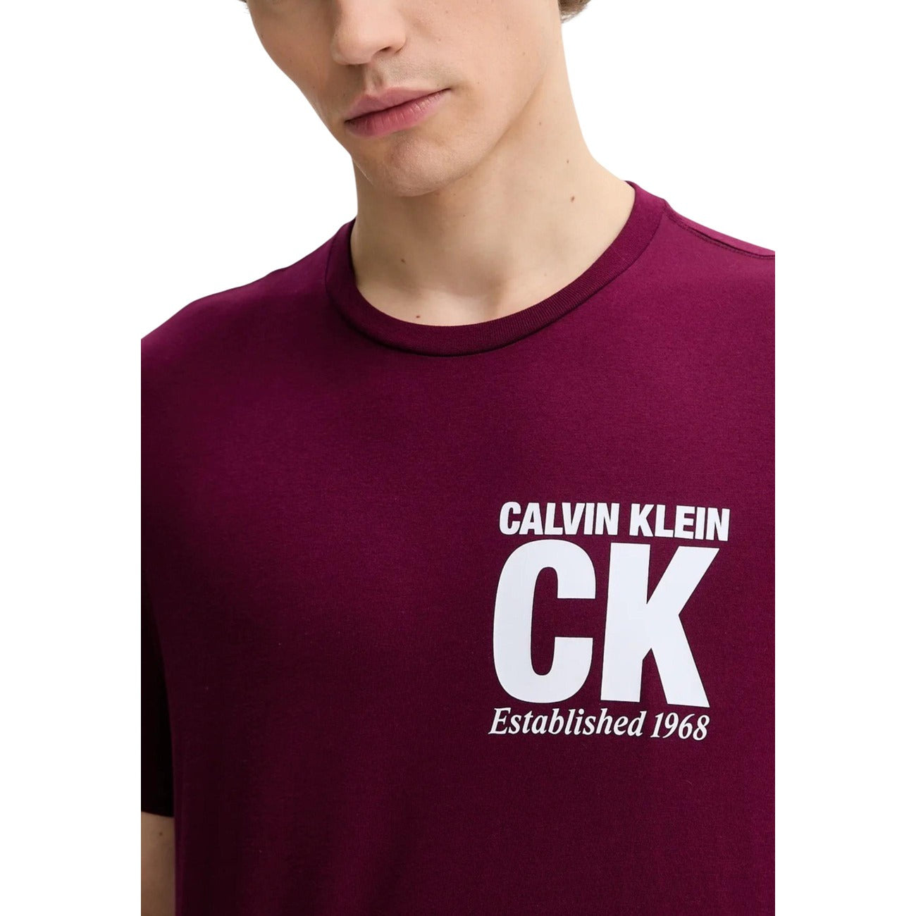 Calvin Klein T-Shirt Uomo